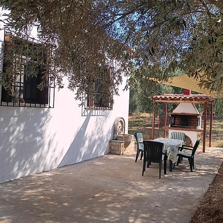 The Small House In The Olive Grove Lefokastro Exterior foto