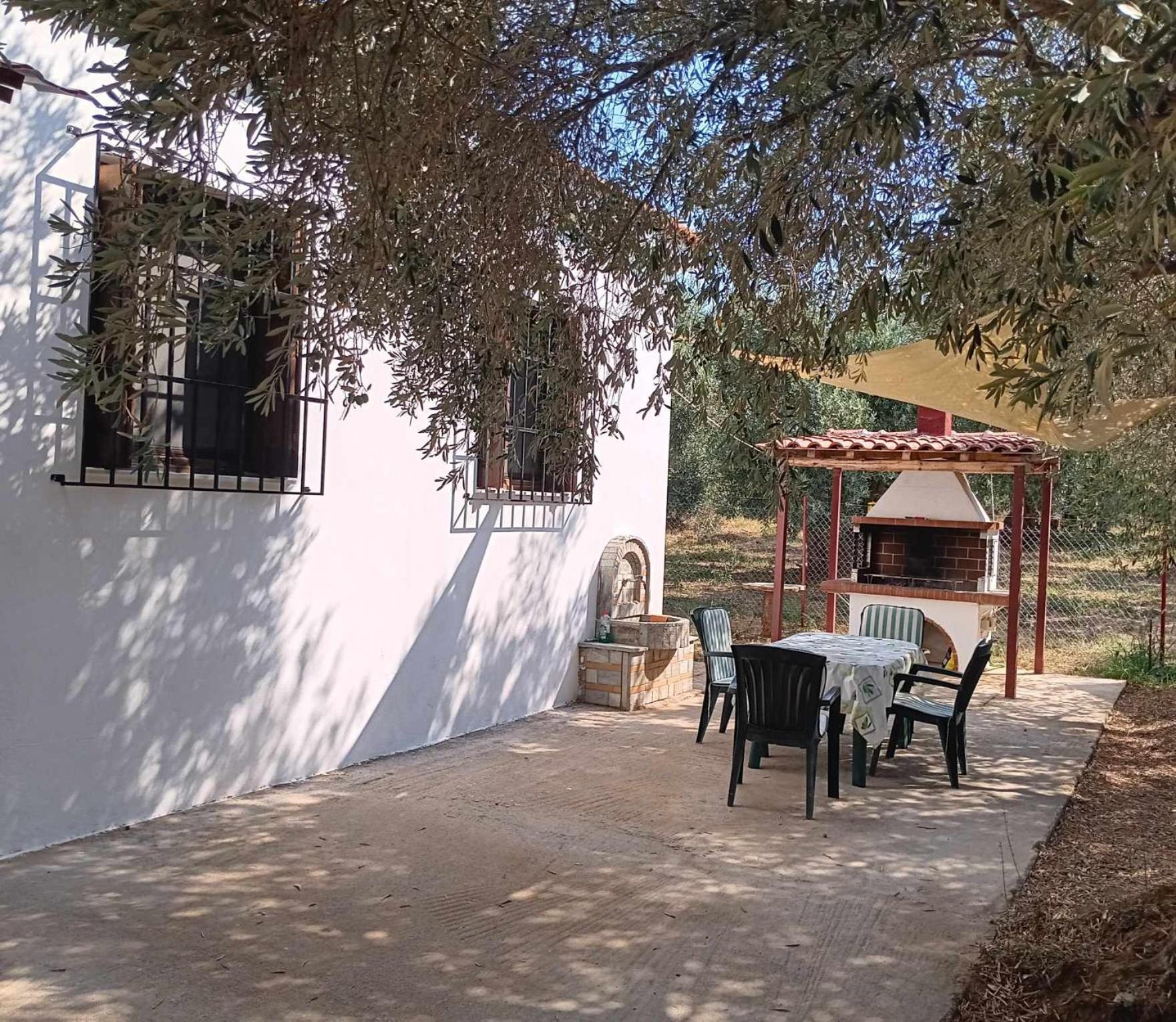 The Small House In The Olive Grove Lefokastro Exterior foto