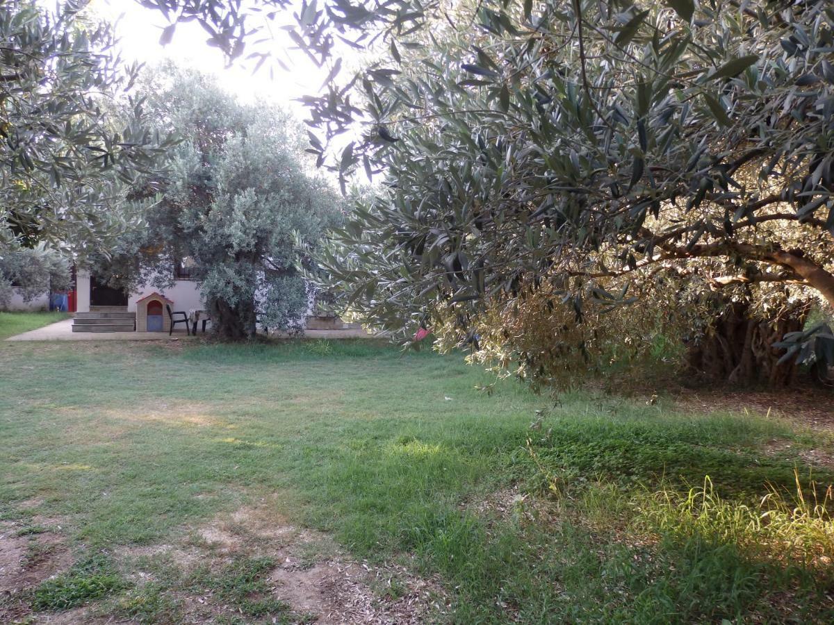 The Small House In The Olive Grove Lefokastro Exterior foto