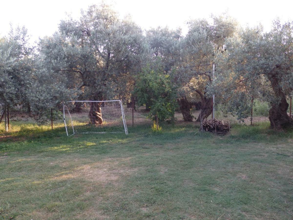The Small House In The Olive Grove Lefokastro Exterior foto