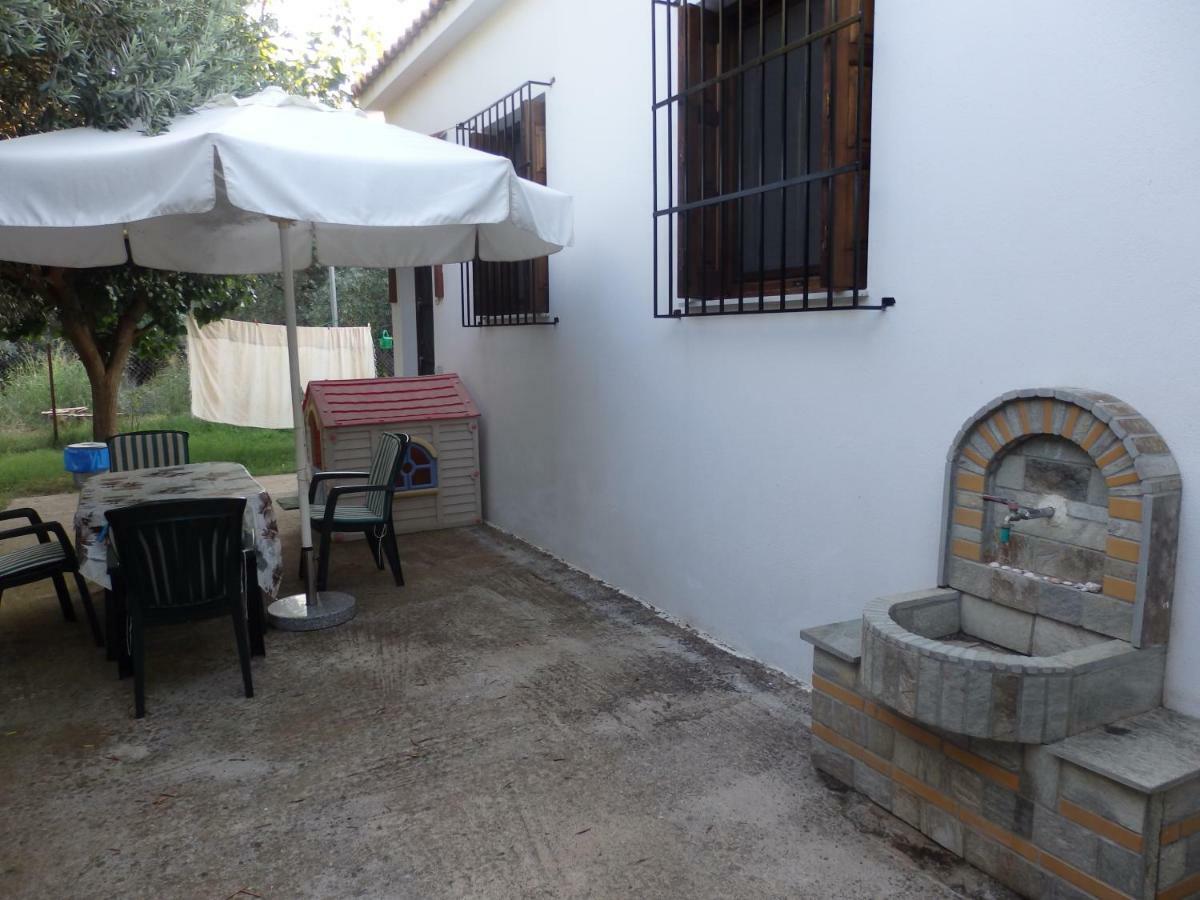 The Small House In The Olive Grove Lefokastro Exterior foto
