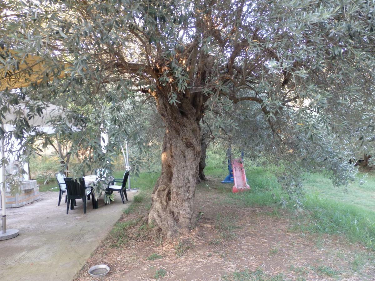 The Small House In The Olive Grove Lefokastro Exterior foto